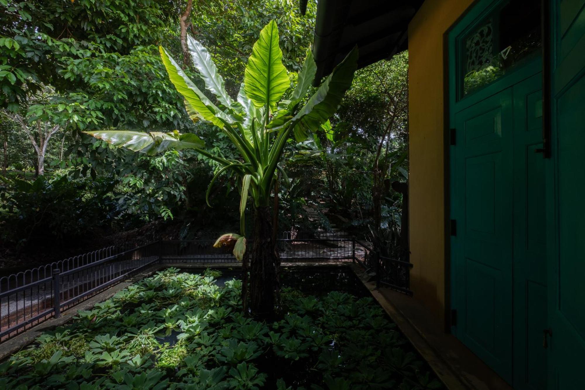 Casa Heliconia Hotel Gampaha Bagian luar foto